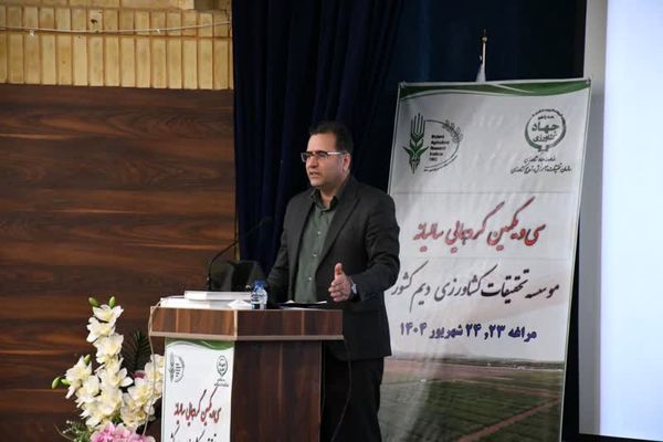 تأکید معاون پژوهش و فناوری سازمان تات بر اهمیت آینده‌پژوهی در کشاورزی دیم
