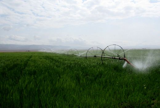 انجام ۹۰ درصد آبیاری نوین خراسان جنوبی از ابتدای دولت یازدهم