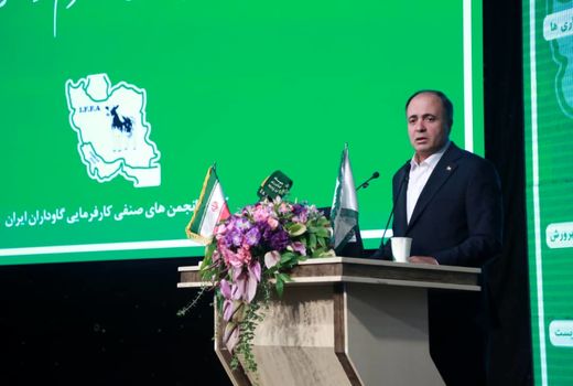 لزوم واقعی شدن قیمت محصولات کشاورزی / پرداخت یارانه وظیفه تولید کننده نیست