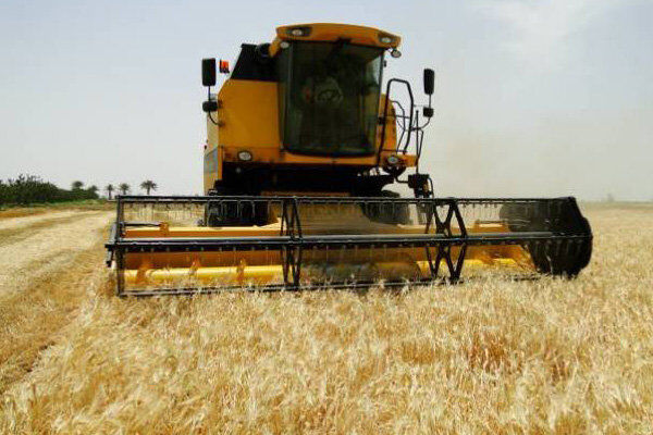 برداشت جو از مزارع کشاورزی البرز آغاز شد