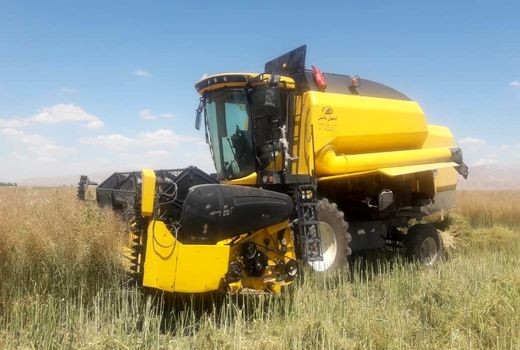 آغاز عملیات برداشت کلزا در شهرستان مهران