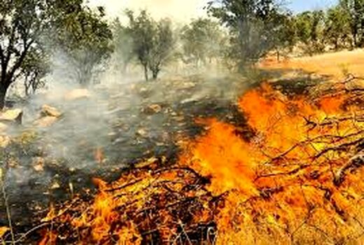 ۳هکتار از مراتع و مزارع کشاورزی در ایلام طعمه حریق شد