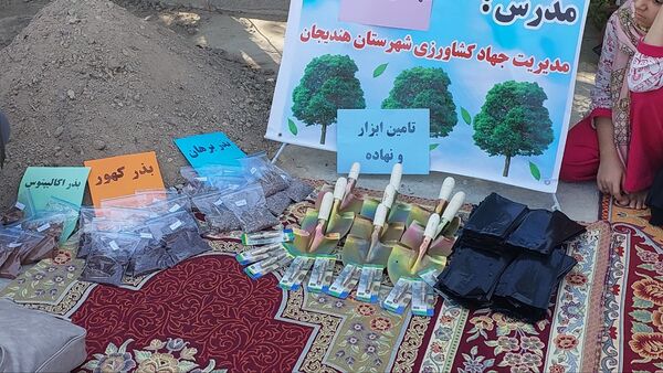 توزیع ابزار ونهاده برای طرح توان افزایی زنان روستایی در هندیجان
