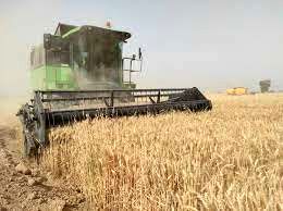 پایان خرید گندم در شوشتر