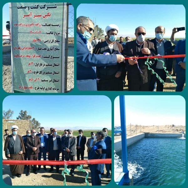 طرح۱۲۰ هکتاری آبیاری تحت فشار شهرستان مهران افتتاح شد