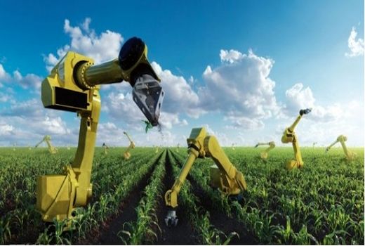 رقابت شدید کشورها در حمایت از بخش کشاورزی