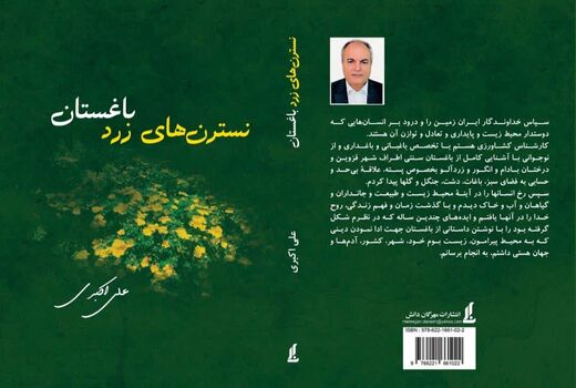 کتاب «نسترن‌های زرد باغستان» به قلم علی اکبری منتشر شد