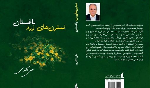 کتاب «نسترن‌های زرد باغستان» به قلم علی اکبری منتشر شد