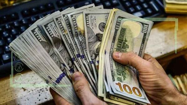 ضربات مهلک ارز ترجیحی بر پیکره بخش کشاورزی