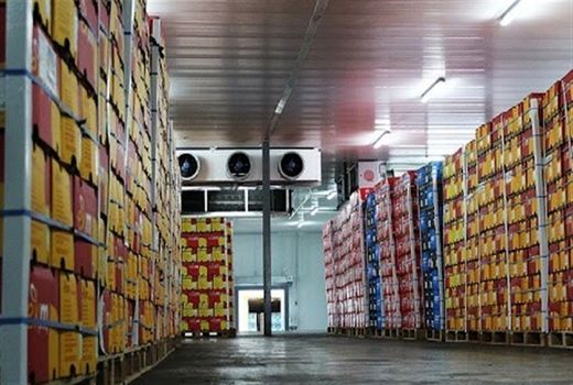 آغاز ذخیره‌سازی میوه ایام عید در کاشان