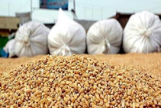 در نیمه نخست امسال بیش از ۱۰۰ هزار تن نهاده دامی بین  دامداران خراسان شمالی توزیع شد