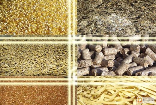 اینوفارم؛ آغازگر سرمایه‌گذاری هوشمندانه در ایده‌های صنعت خوراک دام و طیور است