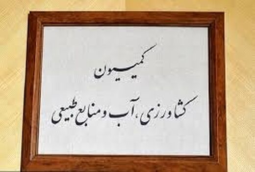 خاوازی سه‌شنبه به کمیسیون کشاورزی مجلس می‌رود/  اعلام جزییات برنامه کمیسیون در هفته جاری