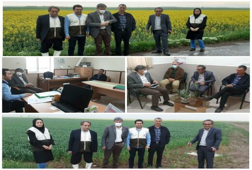 در بازدید کارشناسان فنی، طرح های زراعی شهرستان آبیک بررسی شد