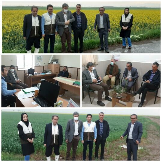 در بازدید کارشناسان فنی، طرح های زراعی شهرستان آبیک بررسی شد