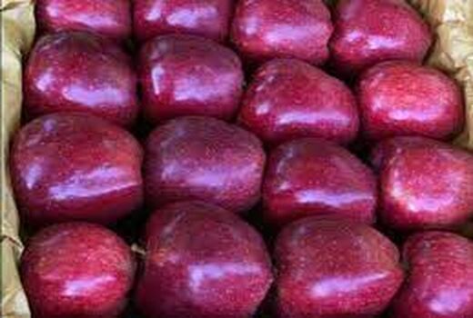 عدم مصرف ماده فنیل فنل بر روی محصولات صادراتی به کشور روسیه