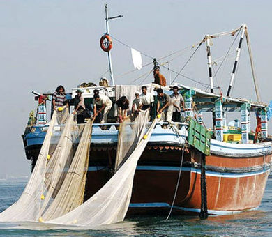 افزایش 47 درصدی حجم صید ماهیان استخوانی/ رها سازی 300 میلیون بچه ماهی در دریای مازندران