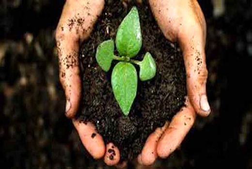 جایگاه پنجم استان آذربایجان شرقی در استفاده از کودهای زیستی در کشور 