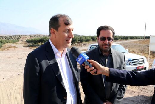 پیش‌بینی تولید بیش از ۱۷ هزار تن روغن زیتون در کشور