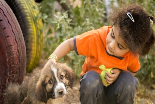 همکاری وزارت جهاد و آموزش برای رفع موانع ایجاد مدارس طبیعت