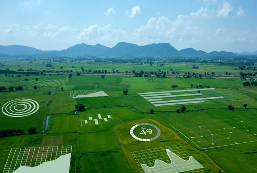 هوش مصنوعی می‌تواند ابزار مهمی برای روایت داستان کشاورزی باشد