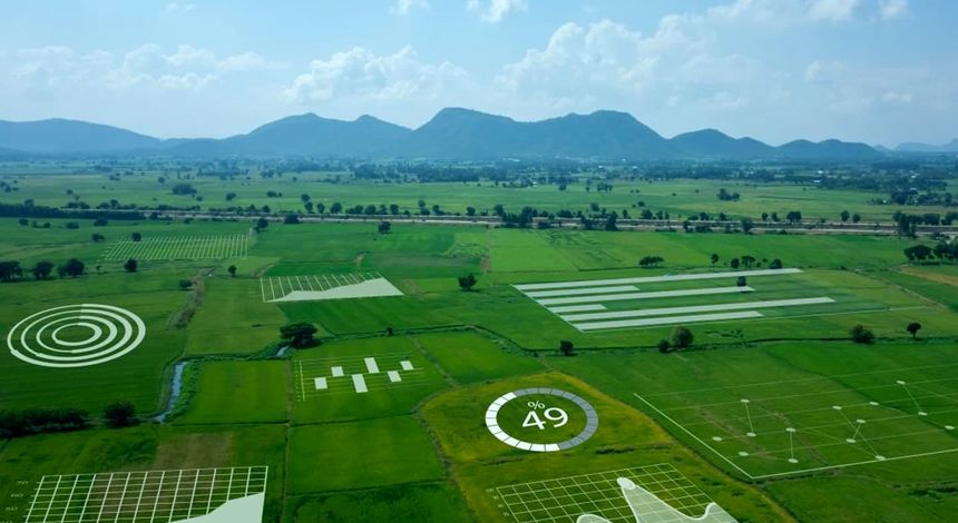 هوش مصنوعی می‌تواند ابزار مهمی برای روایت داستان کشاورزی باشد