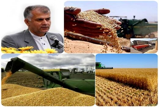 آمادگی کامل مراکز خرید بخش دولتی برای تحویل گندم مازاد بر نیاز کشاورزان
