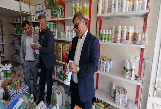 اجرای بیش از ۸۰۰ مورد بازرسی تنظیم بازار در ارسنجان