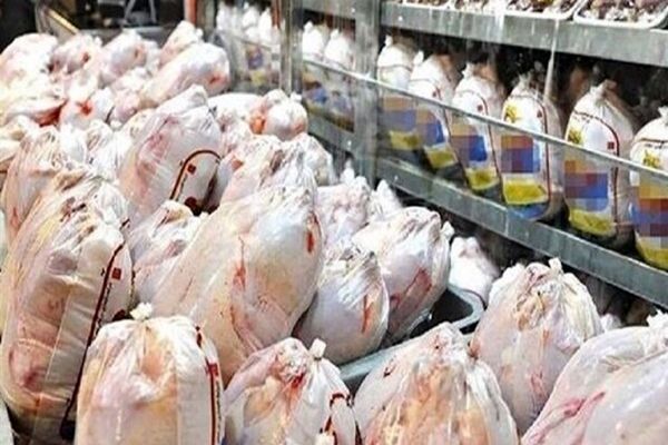 عرضه روزانه ۱۱۶ تن گوشت مرغ گرم در سطح استان قزوین