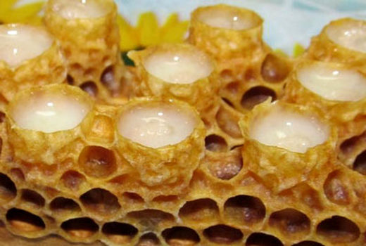  ۱۰۶ کیلوگرم ژل رویال درچهارمحال و بختیاری تولید شد 
