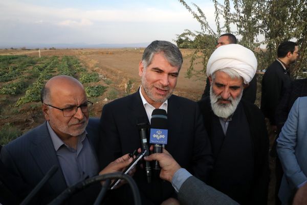 افزایش ۵ درصدی تولید انار در کشور/ از سرمایه گذاران در بخش صنایع تبدیلی حمایت می کنیم