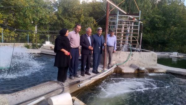 برای اولین بار در کشور، استفاده از عرقیات گیاهی در پرورش ماهی در آذربایجان شرقی 