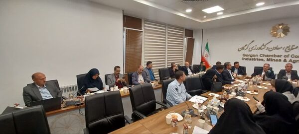 امکان جایگزینی ۲۰ درصد نهاده‌های وارداتی طیور با ارقام جدید باقلا