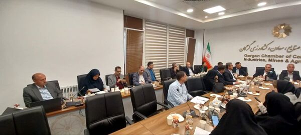 امکان جایگزینی ۲۰ درصد نهاده‌های وارداتی طیور با ارقام جدید باقلا