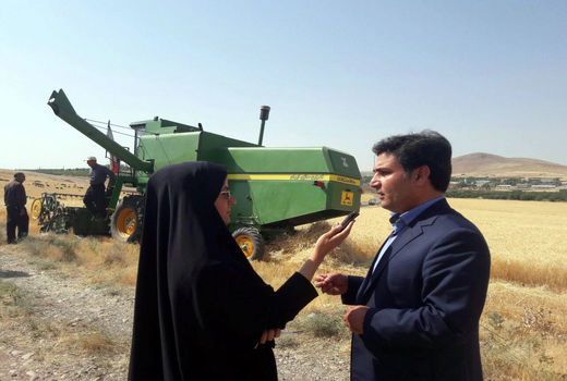 آغاز برداشت گندم در شهرستان مراغه 