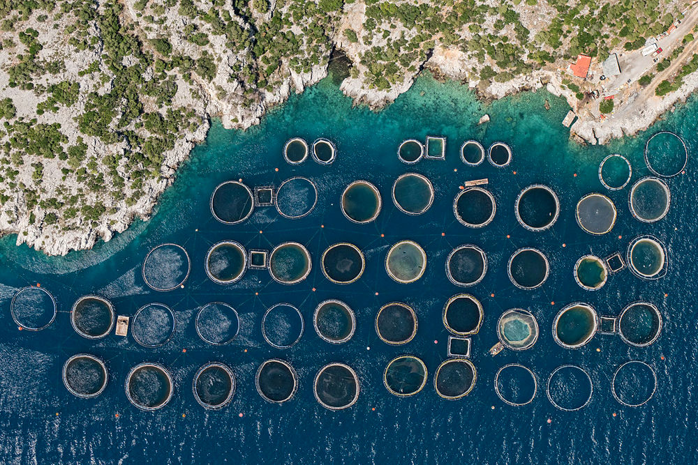 مشاهدات هوايی مزارع ماهی