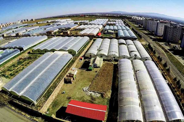 راهکاری مناسب برای رفع نگرانی با ایجاد شهرکهای گلخانهای