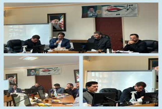 توزیع مرغ در استان تهران هوشمندسازی می شود