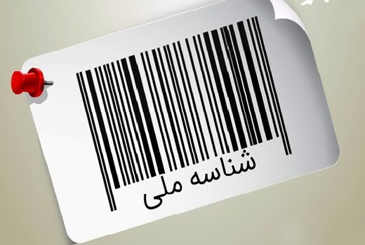 دریافت شناسه ملی قضایی برای ادارات منابع طبیعی شهرستان ها