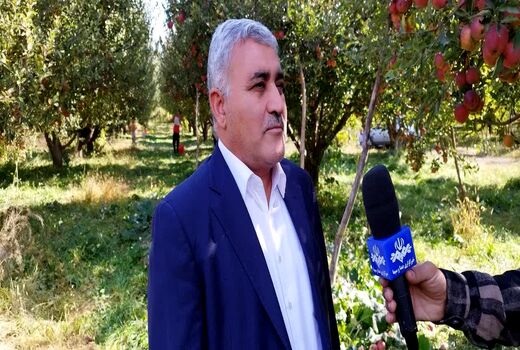 4700 هکتار از باغات آذربایجان غربی شناسنامه‌دار شدند