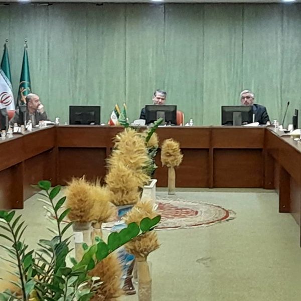 لزوم برنامه‌ریزی دقیق در تامین کالاهای اساسی کشور 