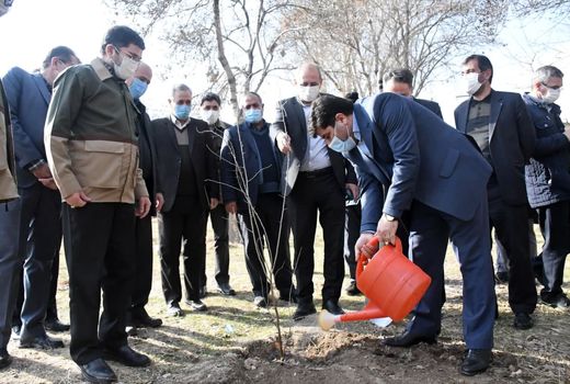 غرس نهال به مناسبت روز جهانی خاک در مجتمع شهید کسایی تبریز