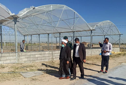  فاز نخست شهرک گلخانه ای ملکان آبان ماه امسال به بهره برداری می‌ رسد