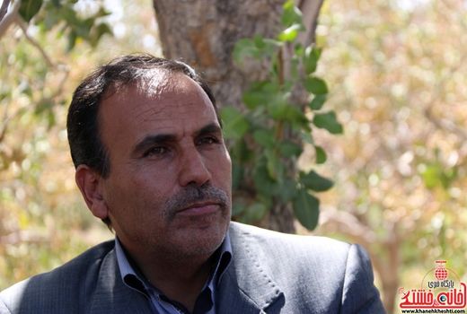 قیمت جهانی پسته 8 دلار است و نباید کمتر از این مبلغ به فروش برسد