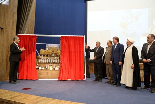 ایران در تولید بذر محصولات گندم و جو خودکفاست