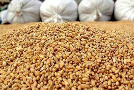 کشف 25 تن نهاده دامی قاچاق در کوهرنگ 