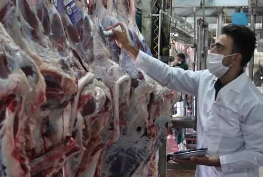 لزوم توجه به مهر دامپزشکی هنگام خرید گوشت قرمز