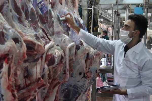 لزوم توجه به مهر دامپزشکی هنگام خرید گوشت قرمز