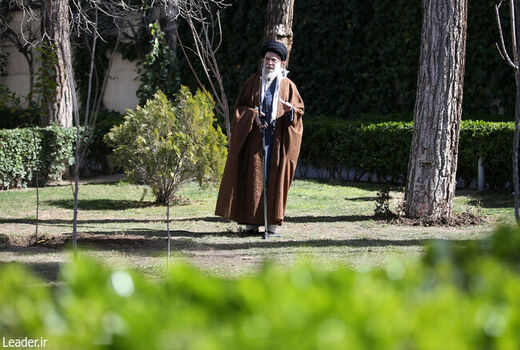 تخریب جنگل‌، محیط زیست و پوشش‌ گیاهی تخریب منافع ملی است