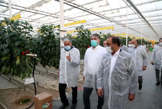 وزیر جهاد کشاورزی بر توسعه کشت قراردادی گیاهان دارویی در لرستان تاکید کرد